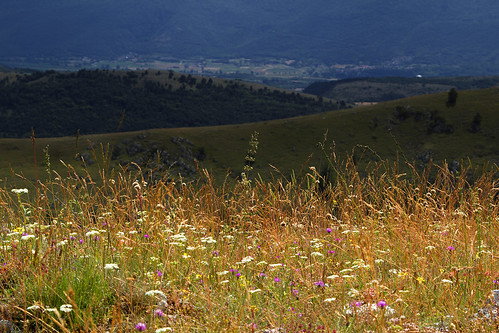 trip travel italien italy canon landscape italia wildflowers italie abruzzo laquila gransasso canonef24105mmf4lisusm canoneos7d antoniovaccarini