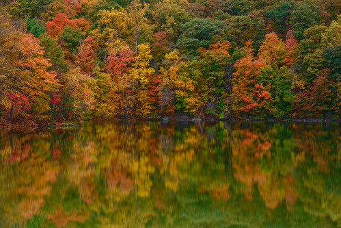 fall colors canon reflections landscape colorful fallcolors fallfoliage hudsonvalley landscapephotography 5dmkiii
