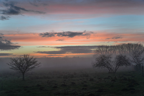 sunset nature germany deutschland nebel braunschweig niedersachsen naturschutzgebietriddagshausen