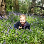 George playing in the bluebells