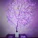 The Advent Jesse Tree #familytree #hope #peace #joy #love