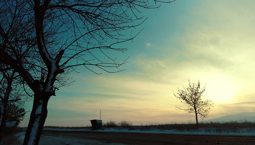 street morning blue trees sky sun landscape photography transportation lonely busstation rode