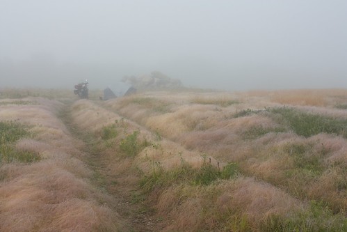camping mist grass fog motorcycles vstrom tocategorize