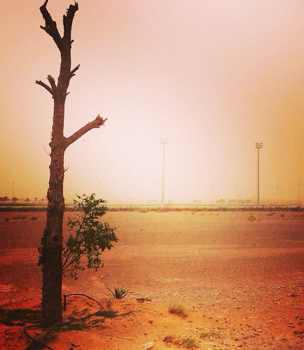 sunset uae sandstorm alain iphone iphonography snapseed