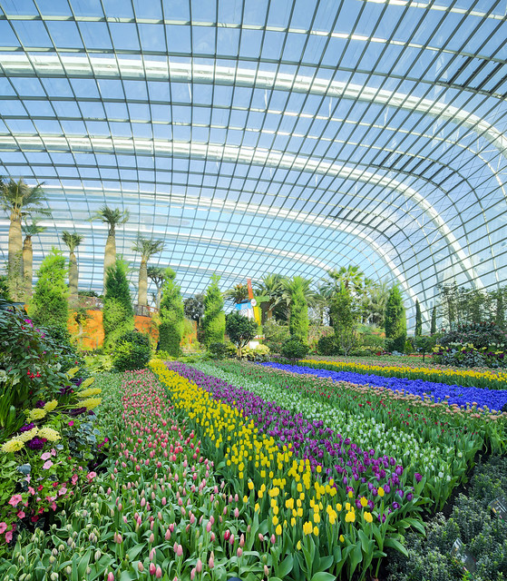 Gardens by the Bay - Flower Dome 01.jpg