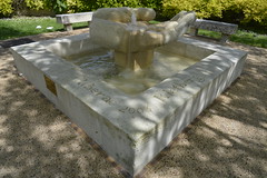 La main dans un carré d-eau - Photo of La Jemaye