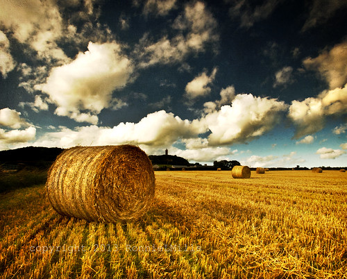 road county ireland field clouds nikon harvest down hay bales northern tamron textured newtownards 1024 d90 comber moate