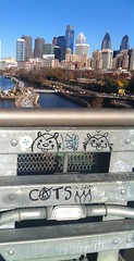 CATS graffiti