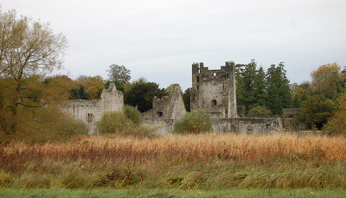 travel ireland vacation castle ruin wanderlust desmond manor fortress adare countylimerick desmondcastle