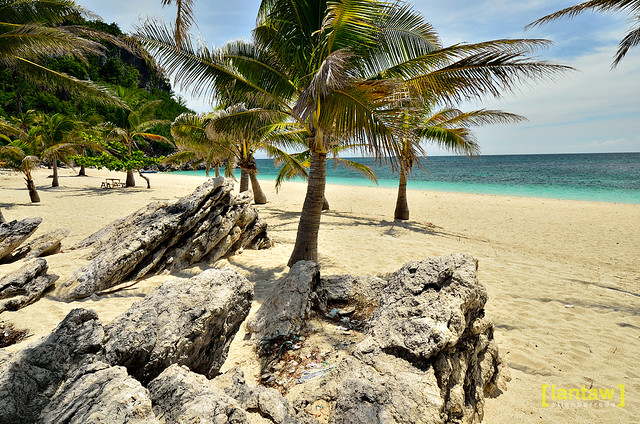 Antonia Beach Rocks and Palm Trees