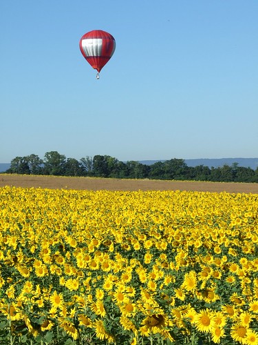 air ballons lorraine mondial montgolfière chambley 2013