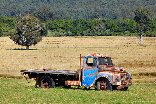 oldtruck paddock abbottsrd dyerscrossing nabiac nsw australia greatlakes midnorthcoast vintagevehicle vintagecar vintagecars cars car oldcar vintage
