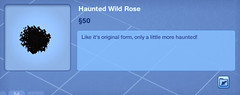 Haunted Wild Rose