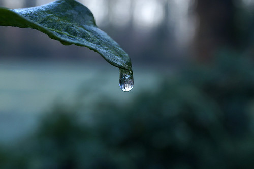 Winter-waterdrop