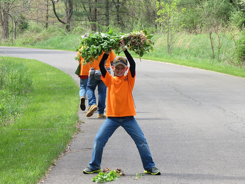 A Petersburg (West Virginia) Elementary School student proudly displays his first garlic mustard haul. Volunteers are key to the removal of invasive species, such as the garlic mustard. (U.S. Forest Service)