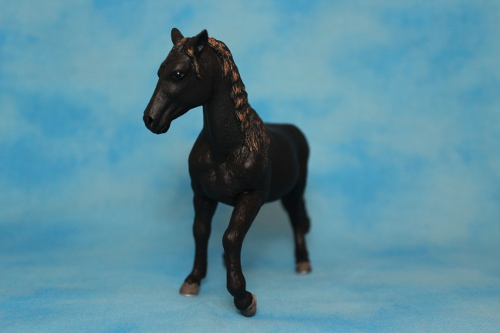 Walkaround of the 2012 Mojö Andalusian Stallions and comparison with Schleich Andalusian 14389217887_f8ae10f435