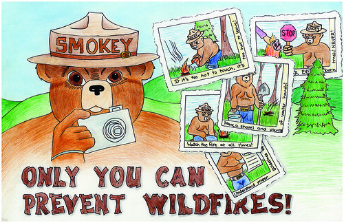 Joyce Qin’s “Postcards from Smokey” is the winning submission in the 2014 Smokey Bear & Woodsy Owl Poster Contest.