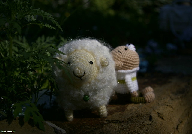 Dreamer Bear and his Sheep-03