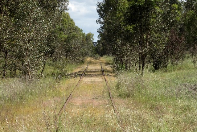 The old railway line to Wahgunyah, near Rutherglen, Vic