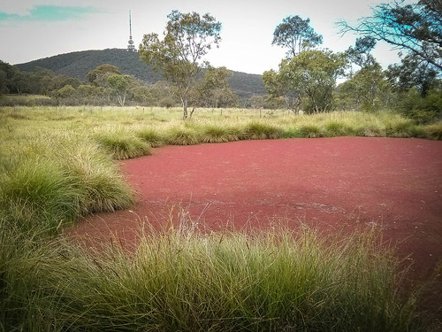 red pond dam australia telstratower australiancapitalterritory arandabushland northwestruralcanberra