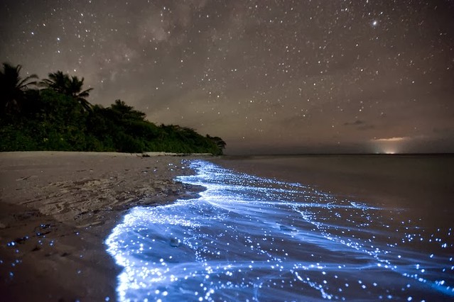 Shimmering shores of Vaadhoo, Maldives - 15 Things You Won't Believe Actually Exist In Nature