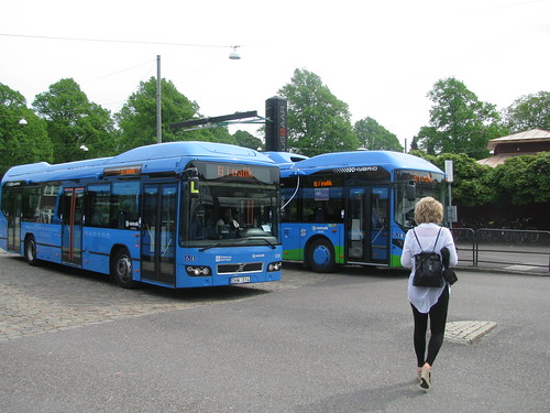 Anni and the buses