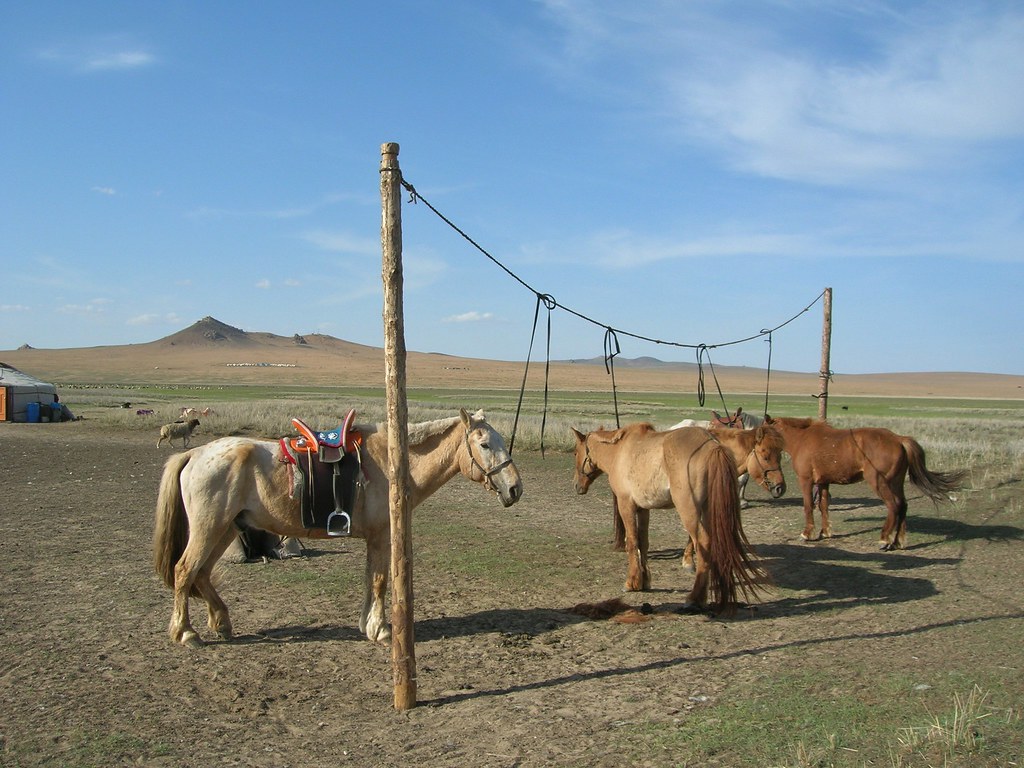Mongolia – Call of the wild - Alvinology