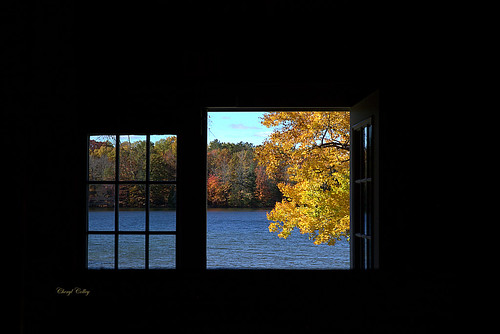 window halfdoor fall colors trees lake view