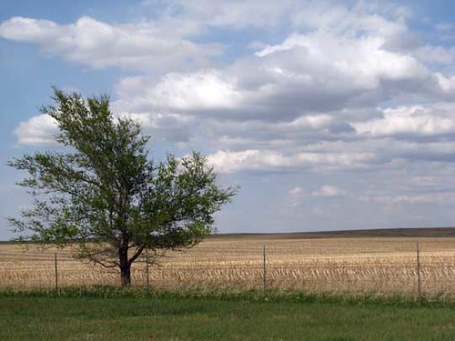trees cemeteries southdakota landscapes agriculture eurekasd mcphersoncountysd