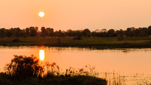 sunset northwest botswana maun thamalakane
