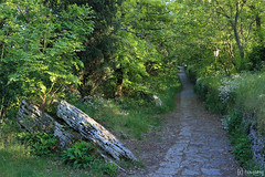 way to Rocca Montale
