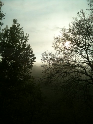 mist sunrise nebel magical sonnenaufgang morningmist niedersachsen verzaubert zauberland