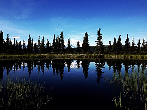 reflection alaska nationalpark denali denalinationalparkpreserve campdenali kantishina