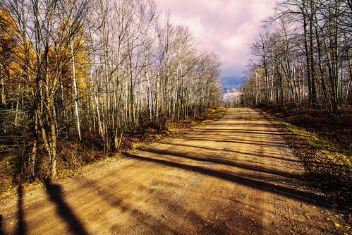 road autumn trees sunlight fall wisconsin clouds rural forest woods shadows path dirtroad backroad