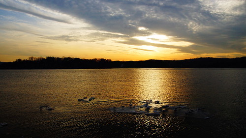 winter sunset bird ice clouds river seagull gull hudsonriver tamron hudsonvalley hudsonriverice westchestercountynewyork hudsonriversunset sonyslta65v verplancknewyork hurongull