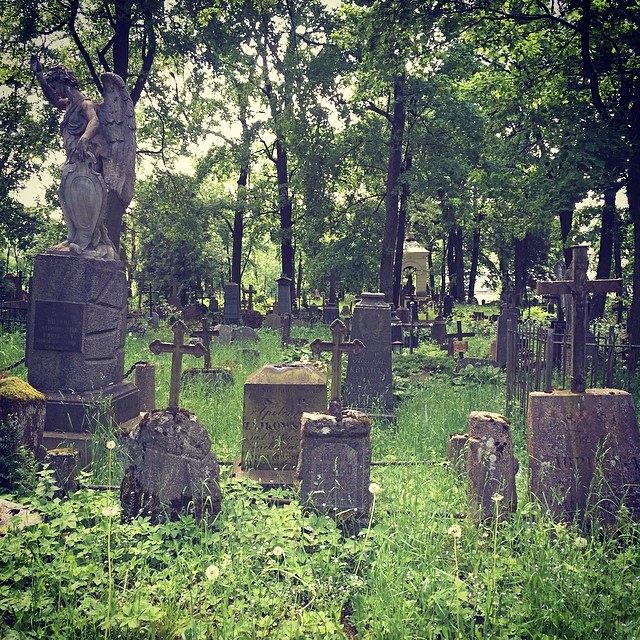 Found an overgrown cemetery