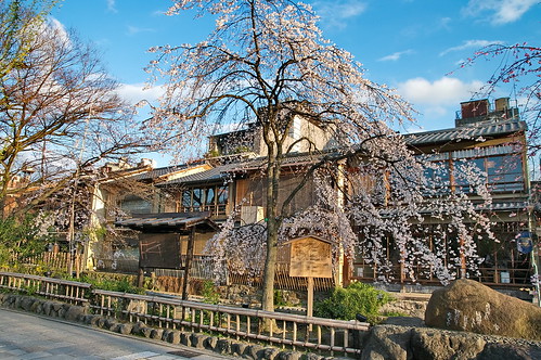 【写真】2013 桜 : 祇園白川/2021-01-19/IMGP8747