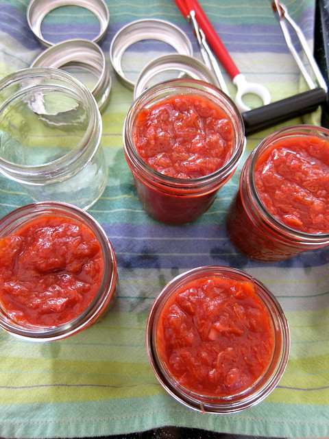 Putting Up: Victorian Barbecue Sauce + Rhubarb Ketchup