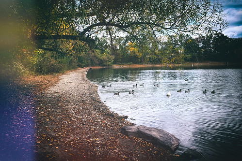 serene calm buckscounty federicoscotto fedesk8 landscape fujifilmxm1 lake foliage nature surreal