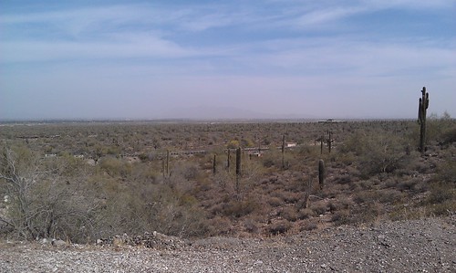 park arizona cactus white mountain cacti tank may az regional 2013