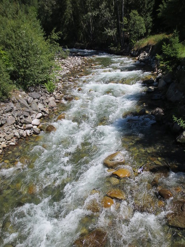 canada creek bc silverton columbia british