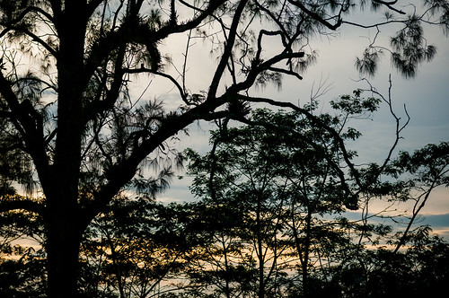 travel trees sunset vacation bali tree silhouette digital indonesia landscape temple twilight nikon religion hindu hinduism besakih rendang d300 purabesakih mothertempleofbesakih easternbali