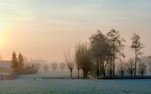 trees winter sunset sky thenetherlands morgen weiland ochtend woerden utrechtsestraatweg ochtendlicht ochtendrood annemiekeprozee