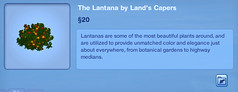 The Lantana by Land's Capers