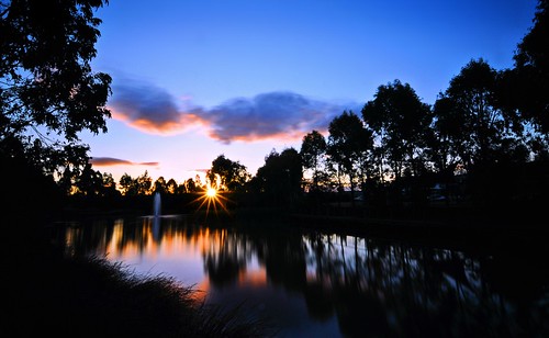 trees sunset sky cloud sun lake reflection pool grass reeds pond dusk nsw waterside penrith