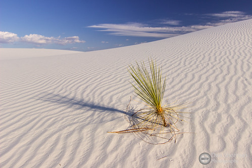 newmexico sand unitedstates desert whitesands dunes dune whitesand yucca nationalmonument sanddunes whitesandsnationalmonument tularosa