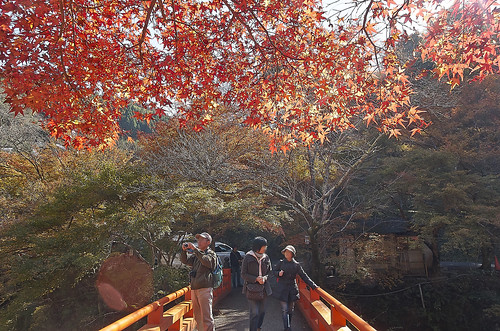 【写真】2013 紅葉 : 西明寺/2021-11-25/IMGP3235