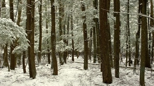 winter snow up michigan stonington hiawatha nf
