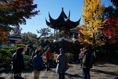 Dr. Sun-Yat Sen Classical Chinese Garden