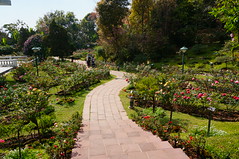 Gardens of Bhuping Palace